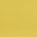 maritime-yellow-0016